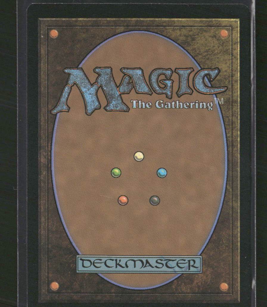 Tarkir: Dragonstorm Mistrise Village (Borderless) #397