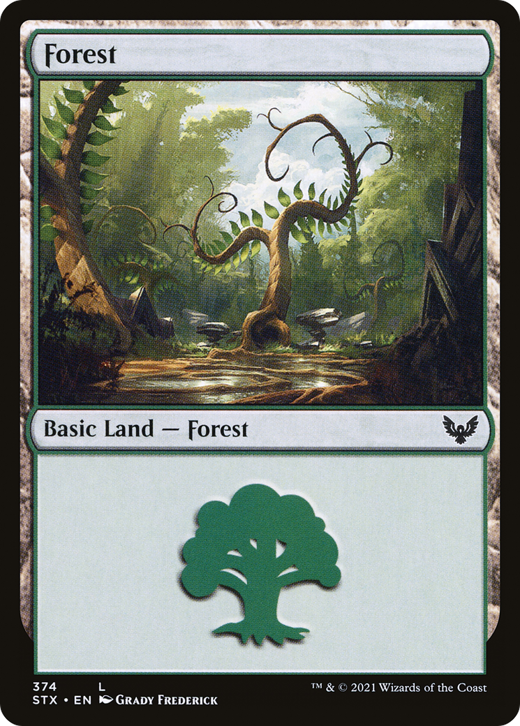 Forest (STX-374) - Strixhaven: School of Mages