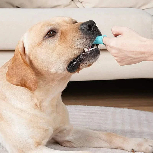 5-Pieces: Super Soft Pet Finger Toothbrush Teeth Cleaning Silicone Tooth Brush