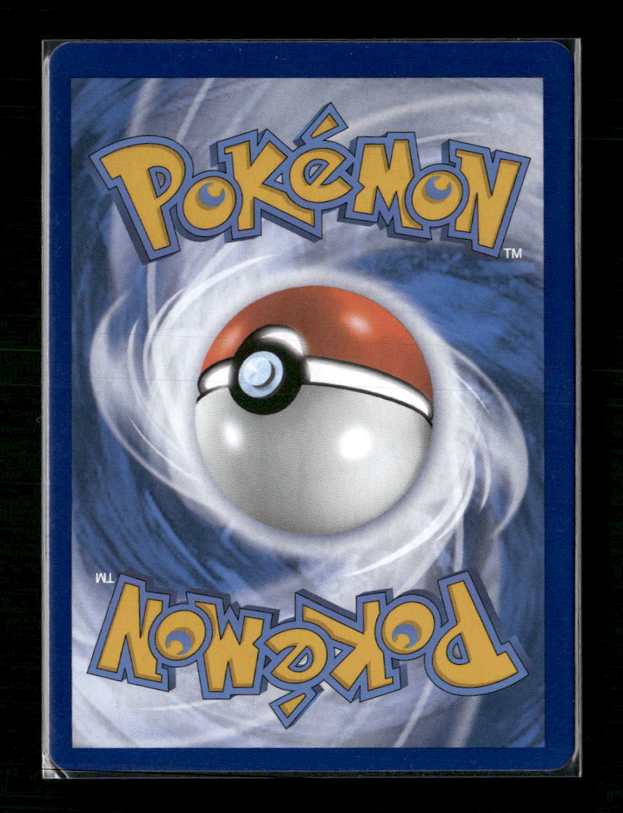 SWSH: Sword & Shield Promo Cards Lucario VSTAR #SWSH291