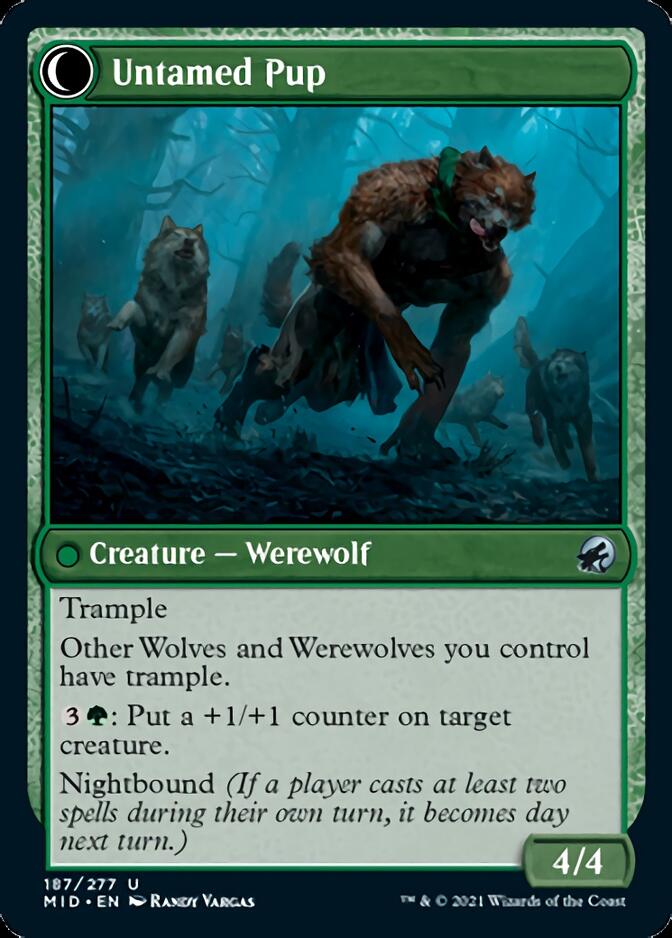 Hound Tamer // Untamed Pup (MID-187) - Innistrad: Midnight Hunt: (Double Faced Transform) Foil